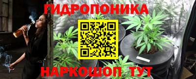 тгк Гусь-Хрустальный