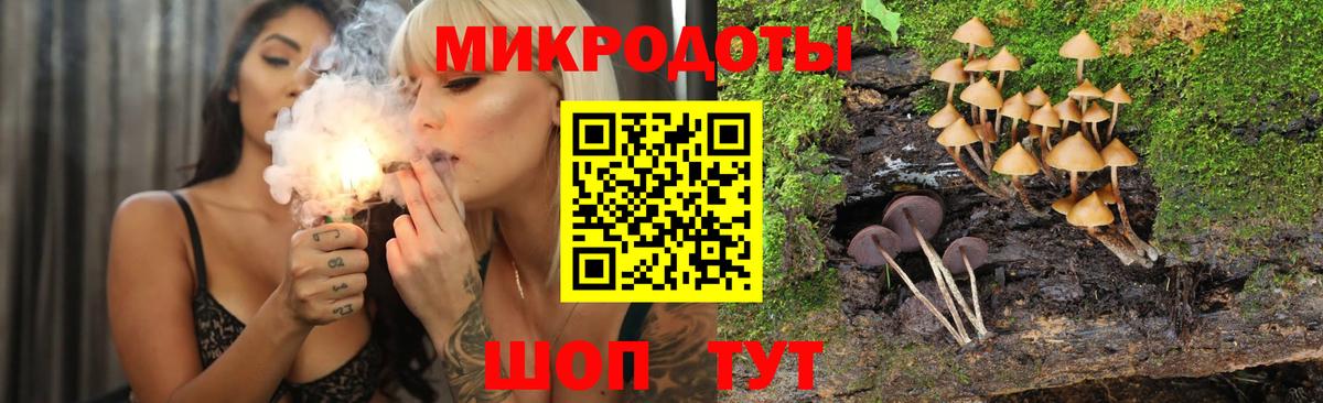 Галлюциногенные грибы мицелий Петрозаводск